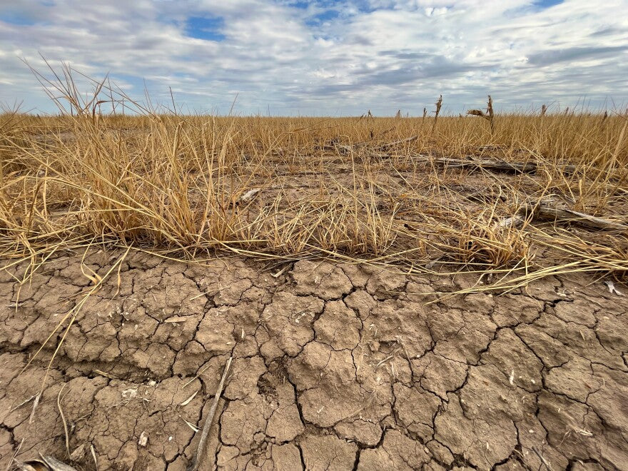 Food systems in crisis/people in crisis