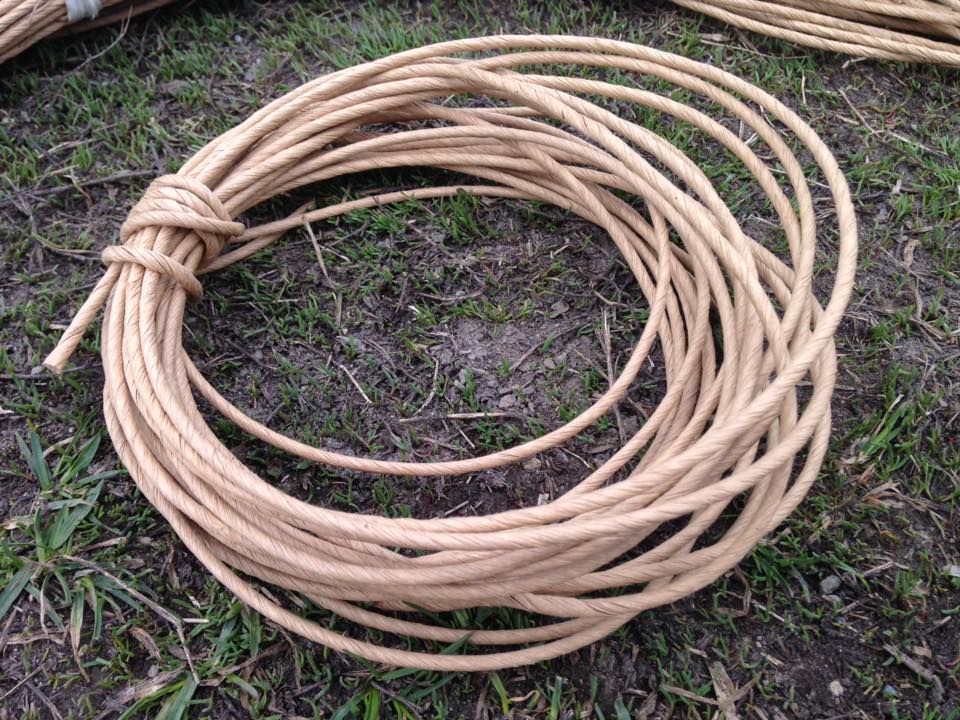 Hops rhizomes, paper twine, paper mulch available